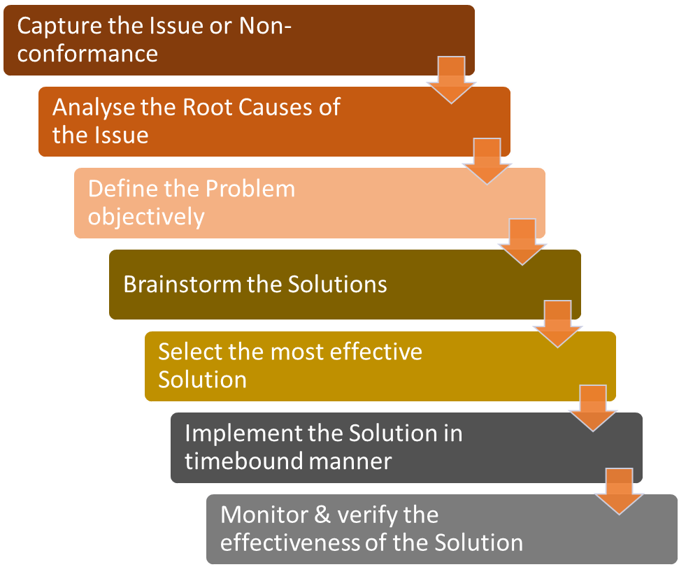 CAPA Process